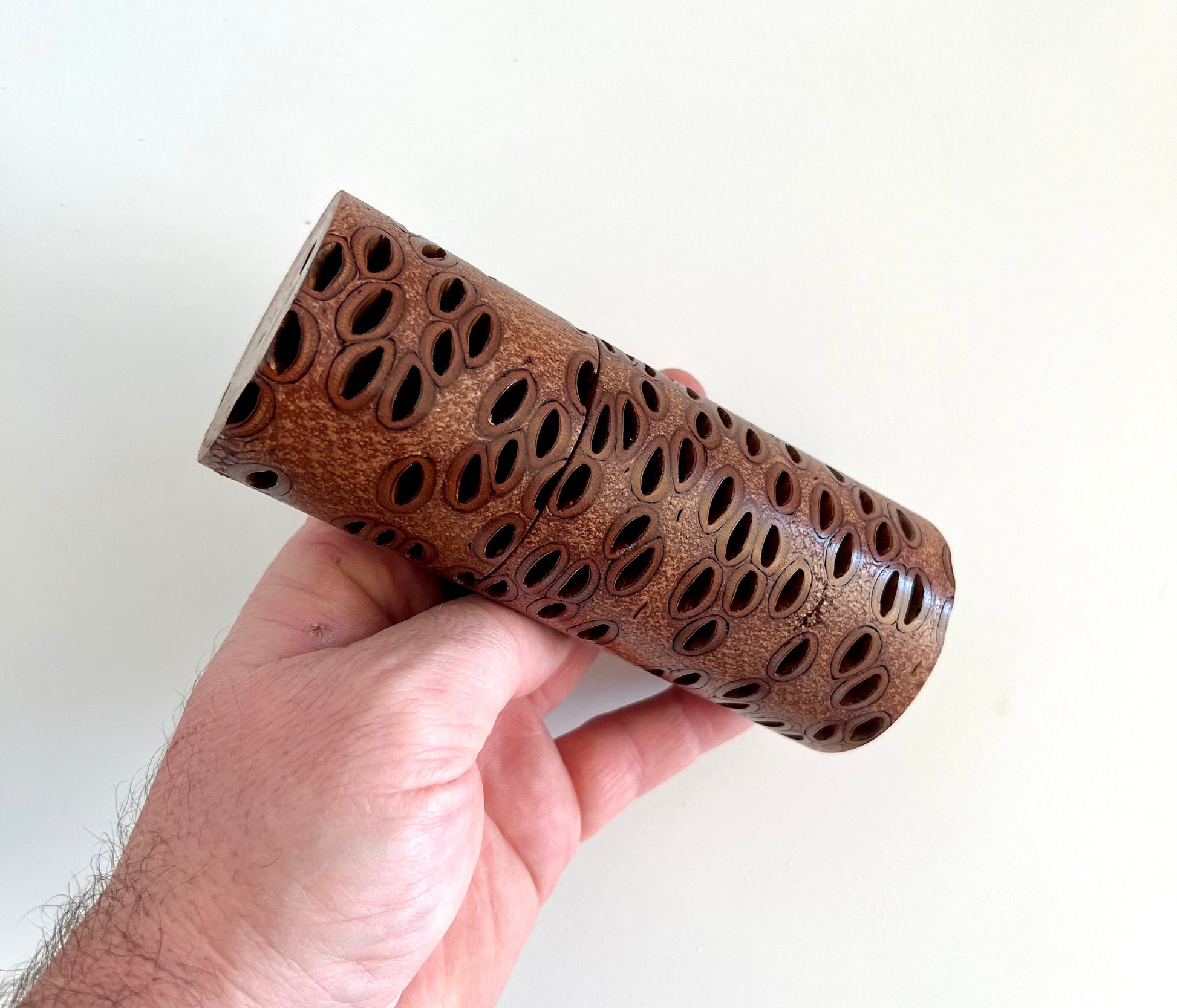 Mans hand holding single straight cylindrical Banksia seed pod grinder