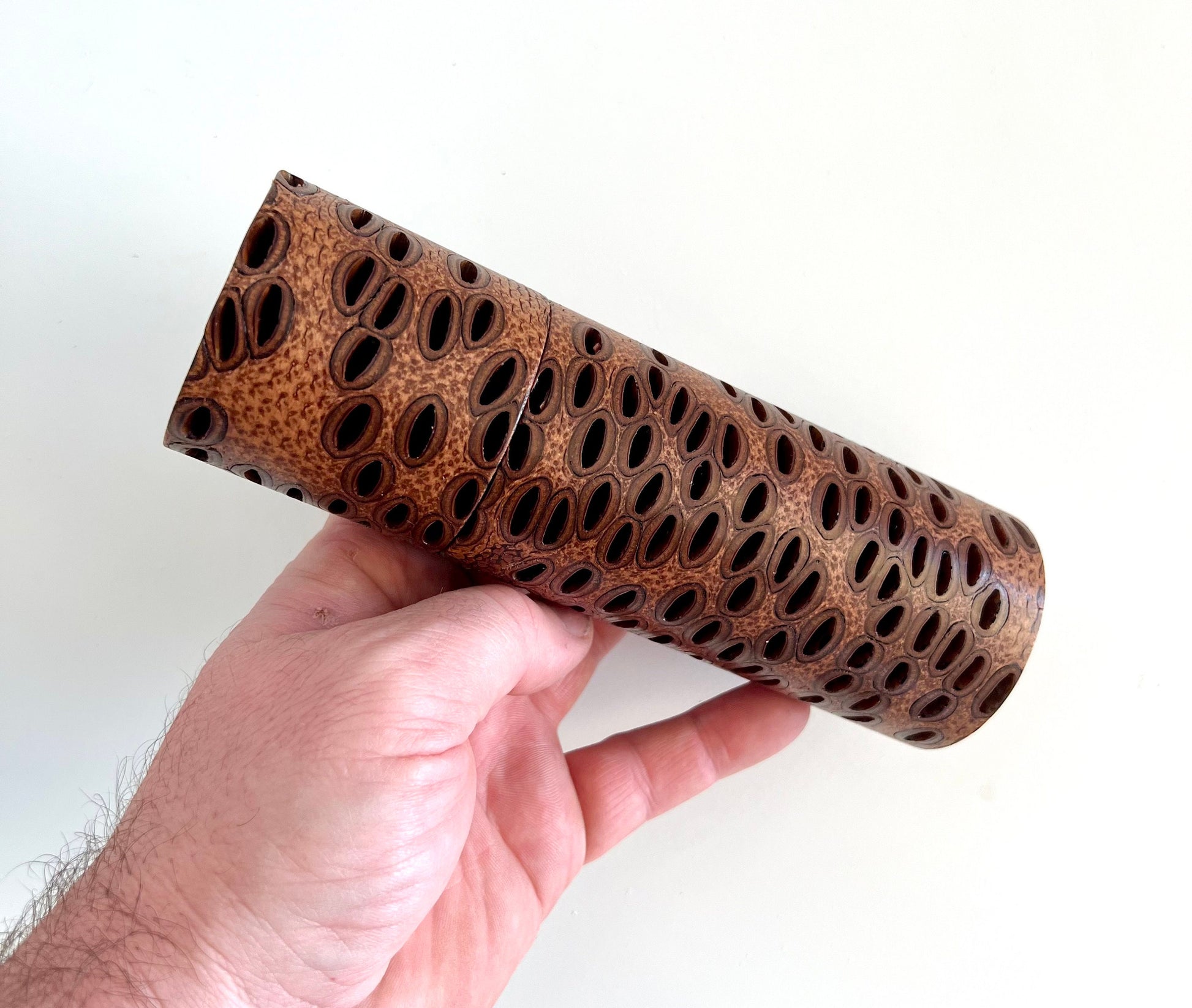 Mans hand holding single straight cylindrical Banksia seed pod grinder