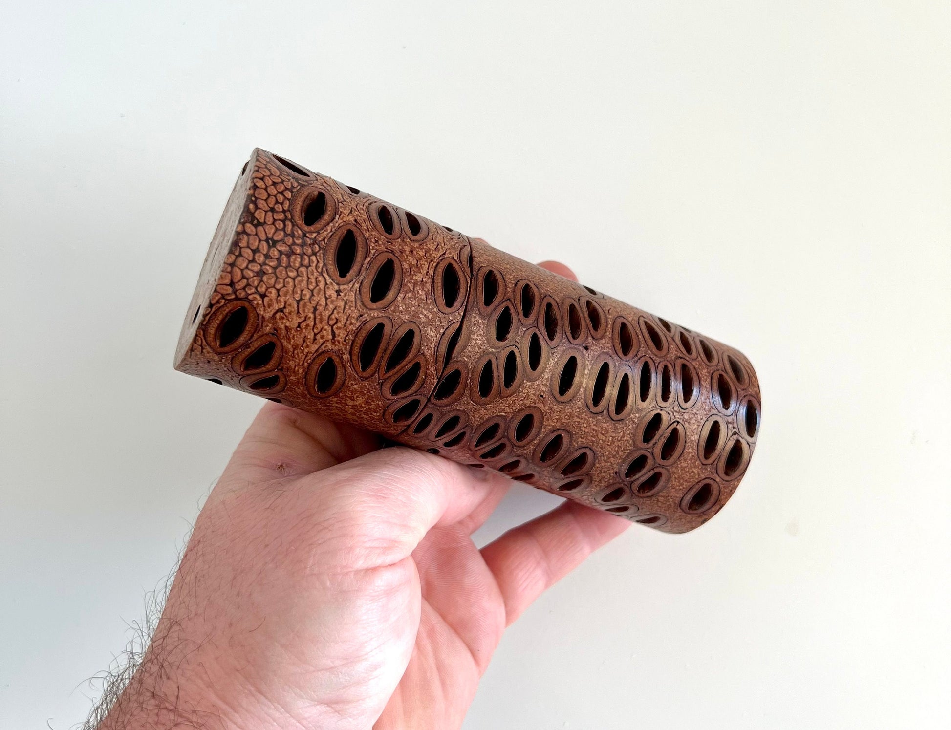 Mans hand holding single straight cylindrical Banksia seed pod grinder