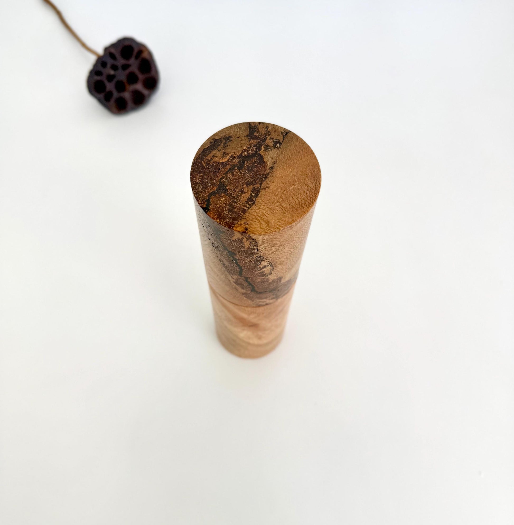 River Banksia Feature Pepper Grinder , Modern Ceramic Salt Mill